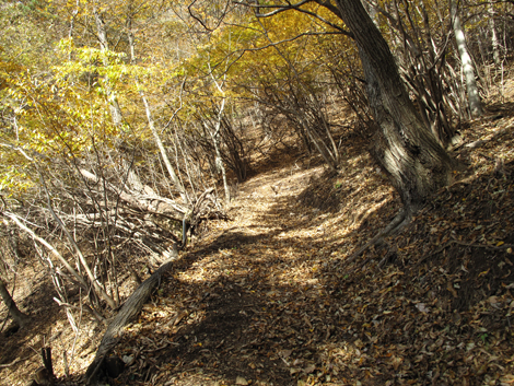 20161117hike (57)
